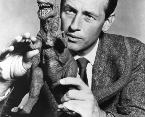 06 image-asset asset