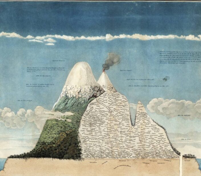 1799-dibujo humboldt